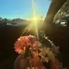 Eli - @elibrown.3 - TikTok