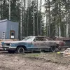 eli_browning66 - @eli_browning66 - TikTok