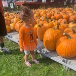 Eli Brownlee❤️ - @princesseli1111 - Instagram