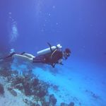 Eli Brownlee - @eli.brownlee - Instagram