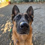 Eli Buchanan - @mom_calls_me_eli - Instagram