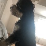 Eli Duck Buchanan - @eli_duck - Instagram