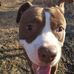 Eli Buckley - Facebook