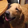 eli burke - @eli.burke83 - TikTok