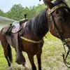 Elijah Burkhart - @elijah.burkhart - TikTok