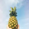 Eliza Burlingame - @elizaburlingame6196 - TikTok
