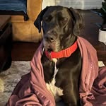 Lisa Burlingame - @burlingamelisa - Instagram