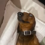 Eli Burrows - @littlekid4921 - Instagram