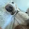 Eli_burton22 - @eli.burton02 - TikTok