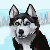 Eli Byrne - @eli.byrne4 - TikTok