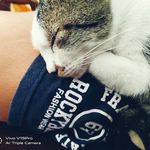 Eli - @elibyrnenb3 - Instagram