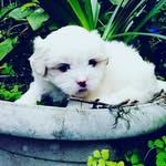 eli cabral - @elisangela767 - Instagram