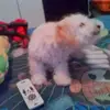 Eli Camara - @eli.camara - TikTok