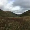 eli_cameron8 - @eli_cameron8 - TikTok