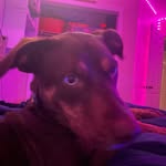 Eli cameron - @eli_cameron113 - Instagram