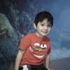elicamey883 - @elicamey883 - TikTok