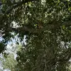 Eli Susana Limones Candelaria - @eli.susana.limone - TikTok