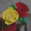 Eli Cantu - @eli.cantu10 - TikTok
