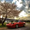 Eli Caplan - @eli.caplan - TikTok
