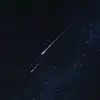Eli - @elicardinal - TikTok