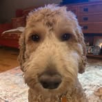 Eli Carlson - Facebook