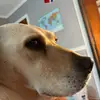 Eli Carroll - @eli.carroll93 - TikTok