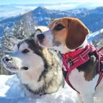 Eli 🌼 Casper ❄️ - @eli.casper.adventure - Instagram