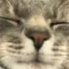 Eli Casto - @eli.casto4 - TikTok