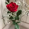 Eli Castrejon - @eli.castrejon - TikTok