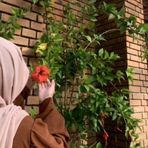 Elima Khatun - Facebook