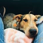 Murphy Eli Caton - @murphy_eli_ - Instagram