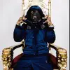 EliChamberlain📈 - @elichamberlain03 - TikTok
