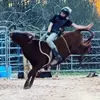 elijah coulter - @elijah.coulter1 - TikTok