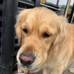 Eli dodson - @eli_dodson108 - Instagram