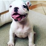 eli dodson - @theres_eli_agian - Instagram