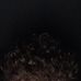 Eli Dowell - Facebook