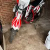 eli - @eli.doyle - TikTok