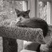 Eli Dror - CrossCountry Mortgage - Facebook