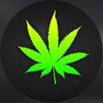 @dryden_elite - Instagram