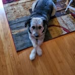 Elizabeth Dryden - Facebook