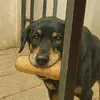 Eli Duarte - @eliduarte07 - TikTok
