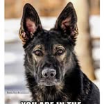 Eli Dunn - @eli.dunn.9083 - Instagram