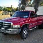 Eli Durbin - @tt_cummins - Instagram