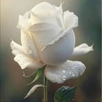 Eliseba Duran - Facebook