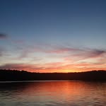 Eli Dutton - @eli_dutton_ - Instagram