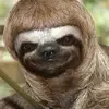 Eli the cool - @elidyergreeves3 - TikTok