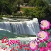 elidyer915 - @elidyer915 - TikTok