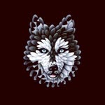 Eli - @eli.eagle14 - Instagram