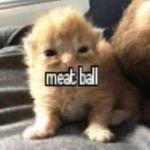 Eli Eaton - @eli_eaton45 - Instagram