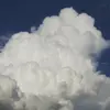 Eli Fehrman - @elifehrman - TikTok